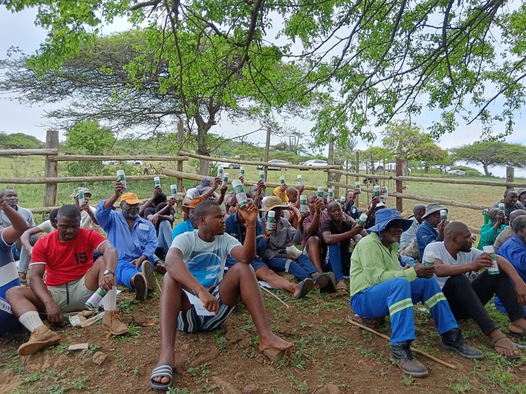 Mfolozi Municipality Empowers Ward 15 Farmers with Livestock Management Skills and Support